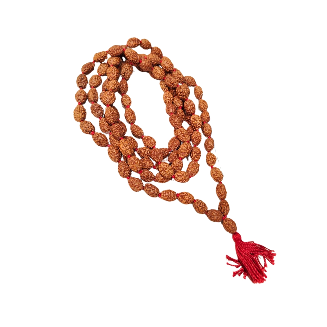 3 mukhi rudraksha mala